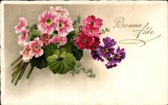 Flores de la fantasia de CPA