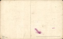 Flores de la fantasia de CPA