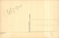 CPA Rarrage of Glleppe the Bridge the Lion the Lake and locks