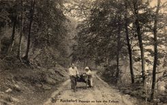 CPA Rochefort Landscape with the wood of the falizes