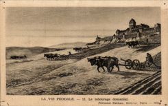 CPA Feudal Life Domanial Tilling