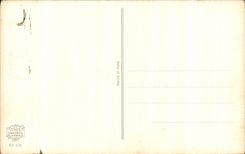 CPA Happy Flowers birthday Bird