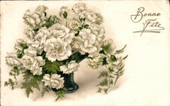 Flor de la fantasia de CPA