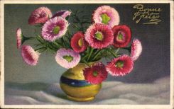 Flor de la fantasia de CPA