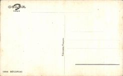 Flor de la fantasia de CPA