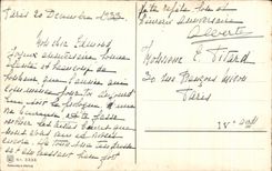 Flor de la fantasia de CPA