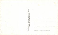 Flor de la fantasia de CPA