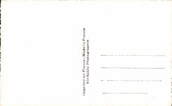 Flor de la fantasia de CPA