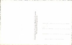 Flor de la fantasia de CPA