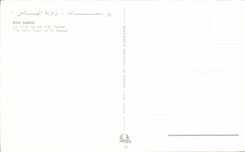 CPA Bou Saada the City Saigre and El Hamel