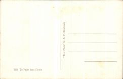 CPA Argelia bien adentro un oasis de I