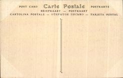 Camellos del camello de CPA Argelia