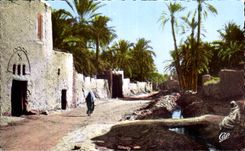 CPA Biskra viejo una calle de las palmeras de I Oase Bab Darh - palmas datileras