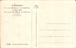 Arroyo de CPA Argelia Tolga en las palmeras