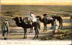 Alto de CPA Argelia Biskra con el collar del camello del camello de Sfa