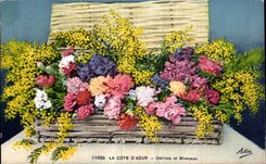 CPA Fantaisie Fleurs Cote d azur Oeillets et mimosas
