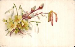 Flores de la fantasia de CPA