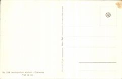 Flores de la fantasia de CPA