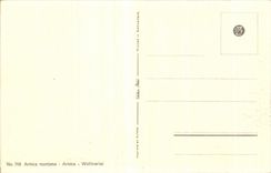 Flores de la fantasia de CPA