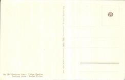 Flores de la fantasia de CPA