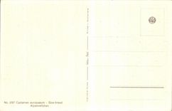 Flores de la fantasia de CPA