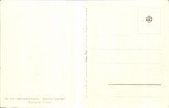 Flores de la fantasia de CPA