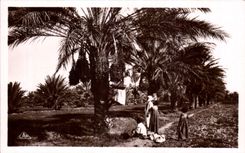 CPA Argelia la reunion de fechas