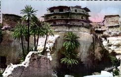 CPA Algerie Guelaa de Bariane 