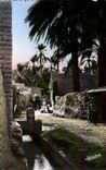 CPA Algerie Une Rue des Biskra