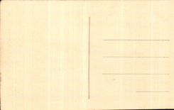 CPA Argel Argelia la calle del camello del camello