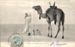 Arabe CPA Argelia y su camello que hace el rezo del camello