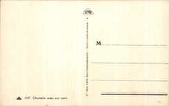 CPA Chamelle Argelia con su pequeno camello del camello