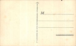 Paso de CPA Argelia del camello del camello de las dunas