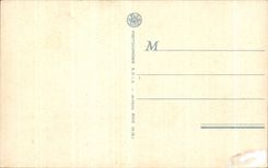 CPA Algeria Honeymoon Camel Camel