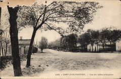 CPA Camp Oberhoffen One of the principal Alleys Militaria