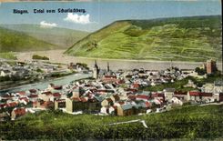 CPA Bingen Total vom Schariachberg