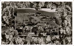 CPA Neustadt has Weinstrasse