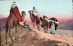 Escenas de CPA Argelia y caravana estAndar de la Africa del Norte en el desierto