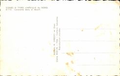 Escenas de CPA Argelia y caravana estAndar de la Africa del Norte en el desierto