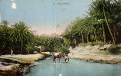 Oasis I de CPA Argelia adentro