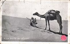 CPA Algerie el alto con el camello Chameau de los servicios
