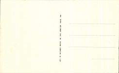 CPA Biskra Algeria In I Oasis