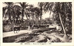 CPA Algeria Biskra Road of Touggourt Camel Camel