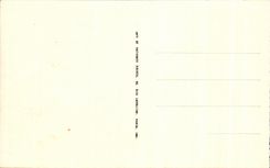 CPA Algerie Biskra Route de Touggourt Chameau Camel