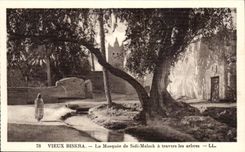 CPA Algeria Biskra Old man the Mosque of Sidi Maleek through the trees