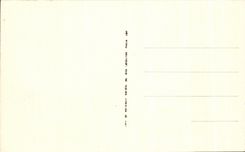 CPA Algeria Biskra Old man the Mosque of Sidi Maleek through the trees