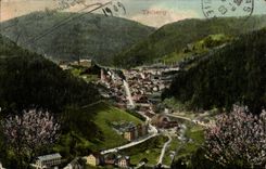 CPA Triberg