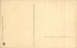 CPA Wiesbaden Wilhelmstrasse