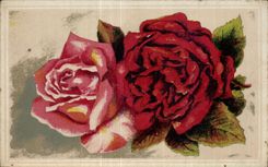 Flor de la fantasia de CPA