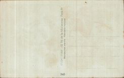 Flor de la fantasia de CPA